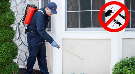 Bademler Kene İlaçlama böcek ilaçlama ve haşere kontrolü — ilaclama-tr.com